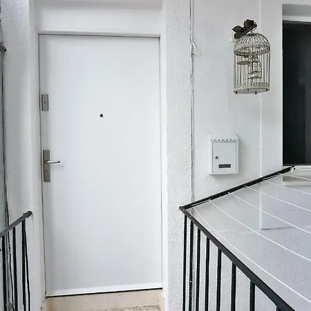 Tchiba In Diocletian's Palace